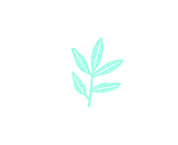 services_green