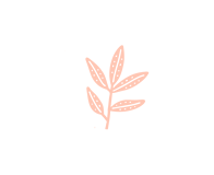 services_orange